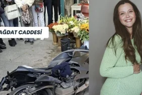 68f90b9556617a12eccf4b72